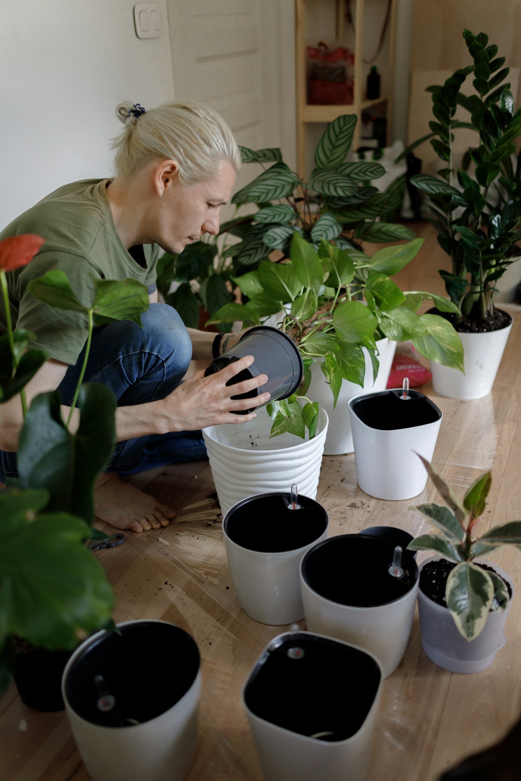 GARDENING