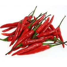 Birdseye Hot Chili Seeds