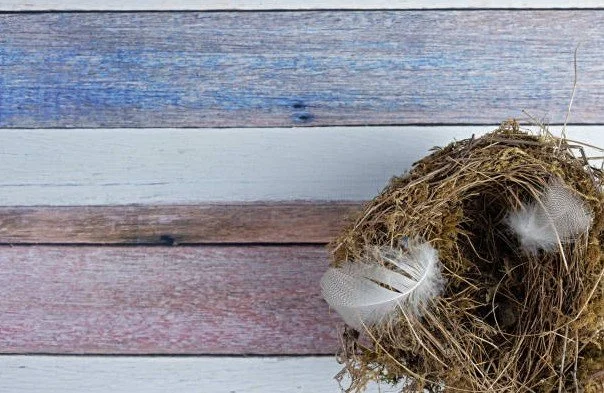 empty nest and life