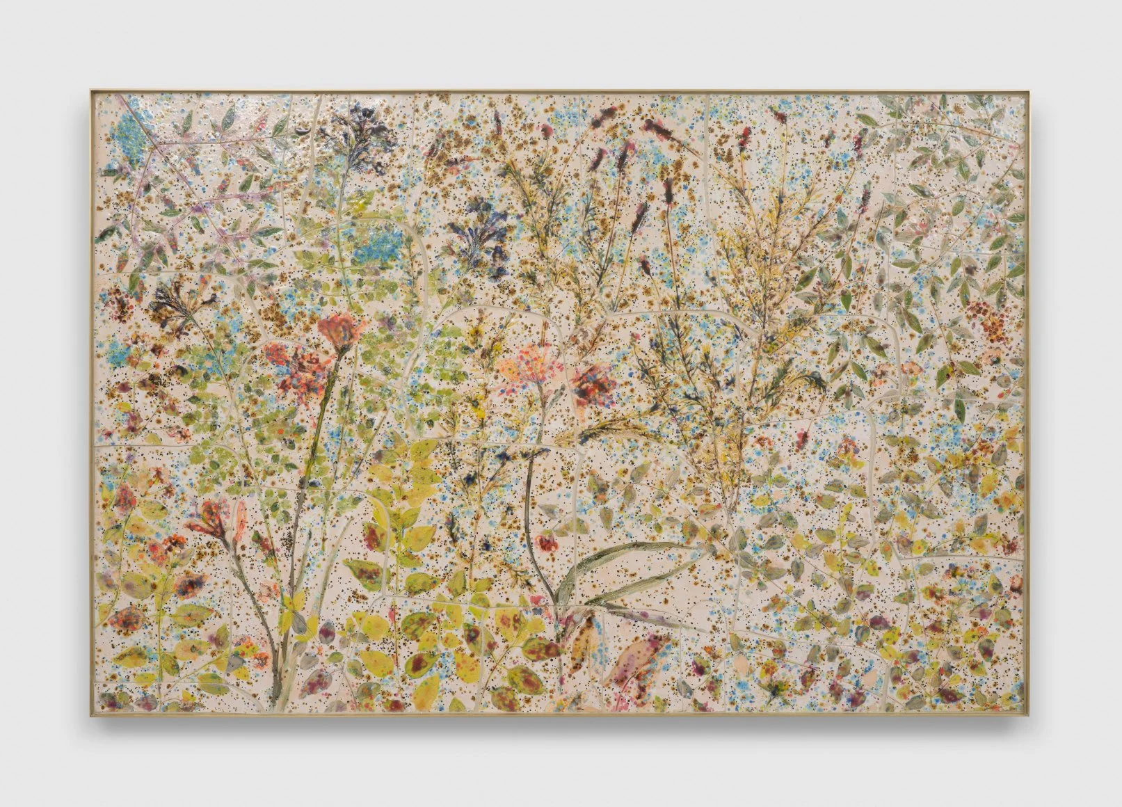 Sam Falls, Runyon (1).jpeg