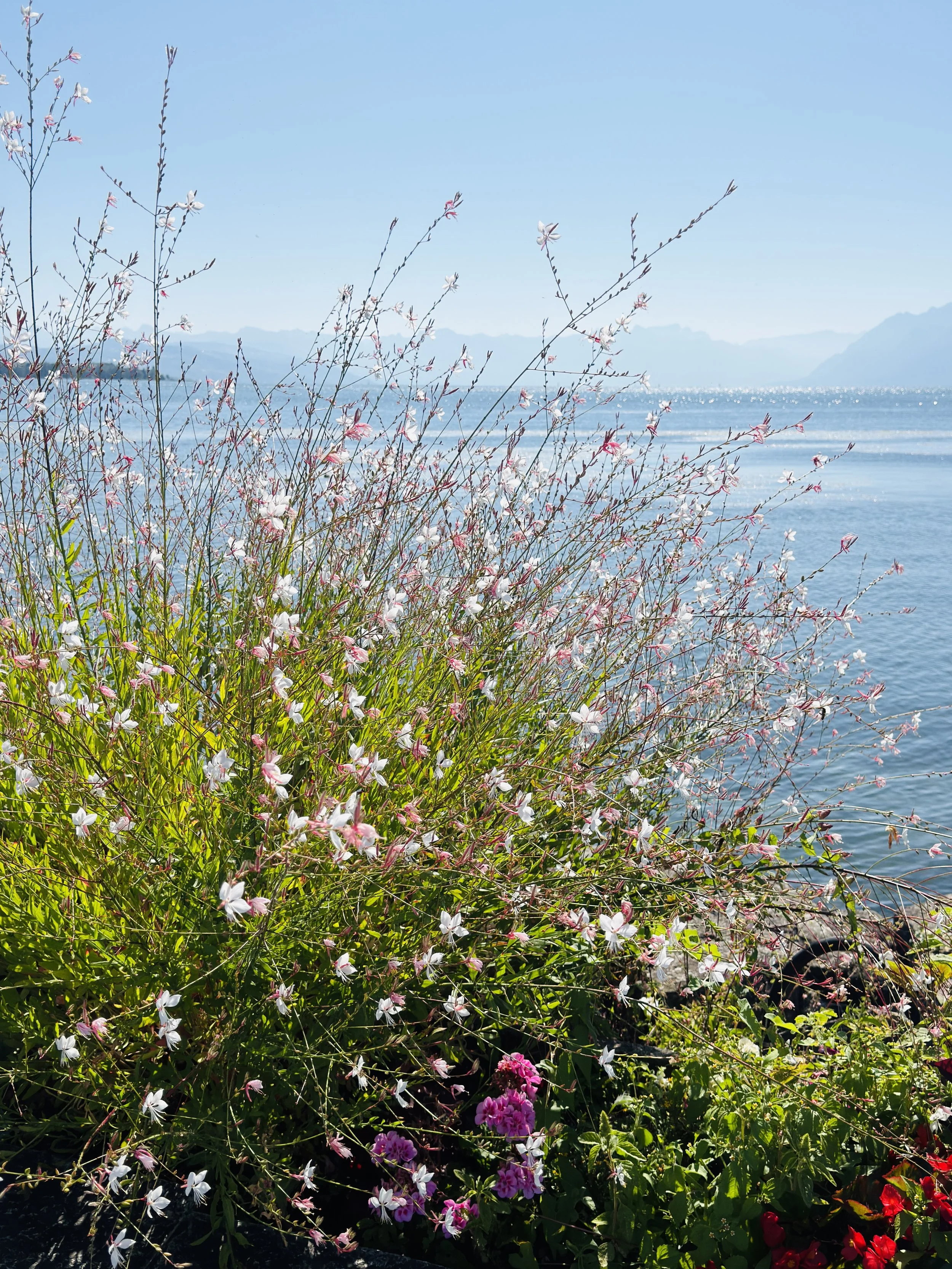 Morges Switzerland