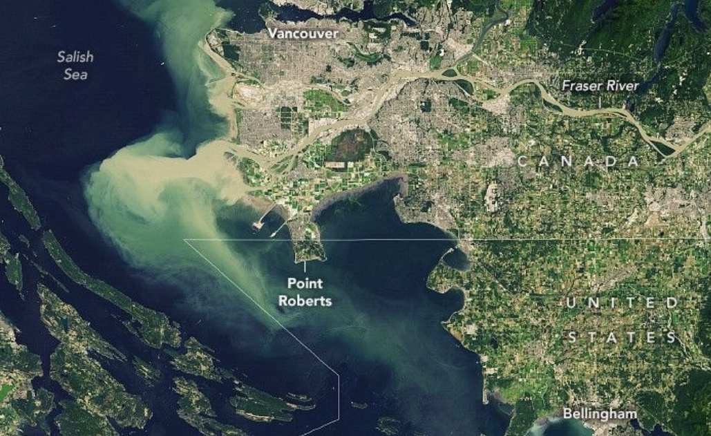 Recovery on The Point