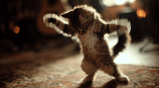 u7811218896_cat_dancing_fast_--ar_9151_--video_1_b7b88f97-d131-40d4-8a69-430a9d234d53_1.gif