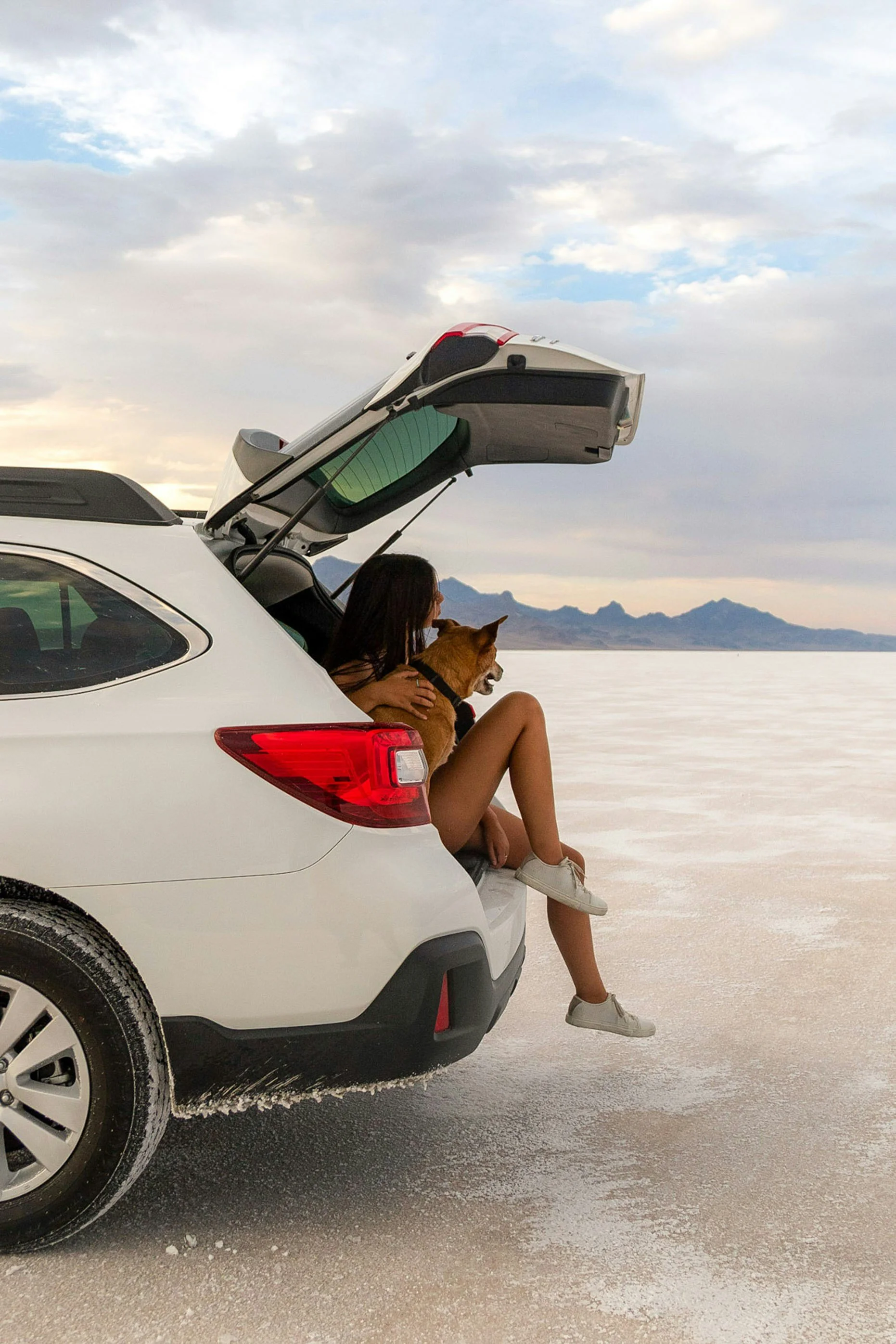 Nate Wade Subaru x Nuzzles & Co Wellness Clinic