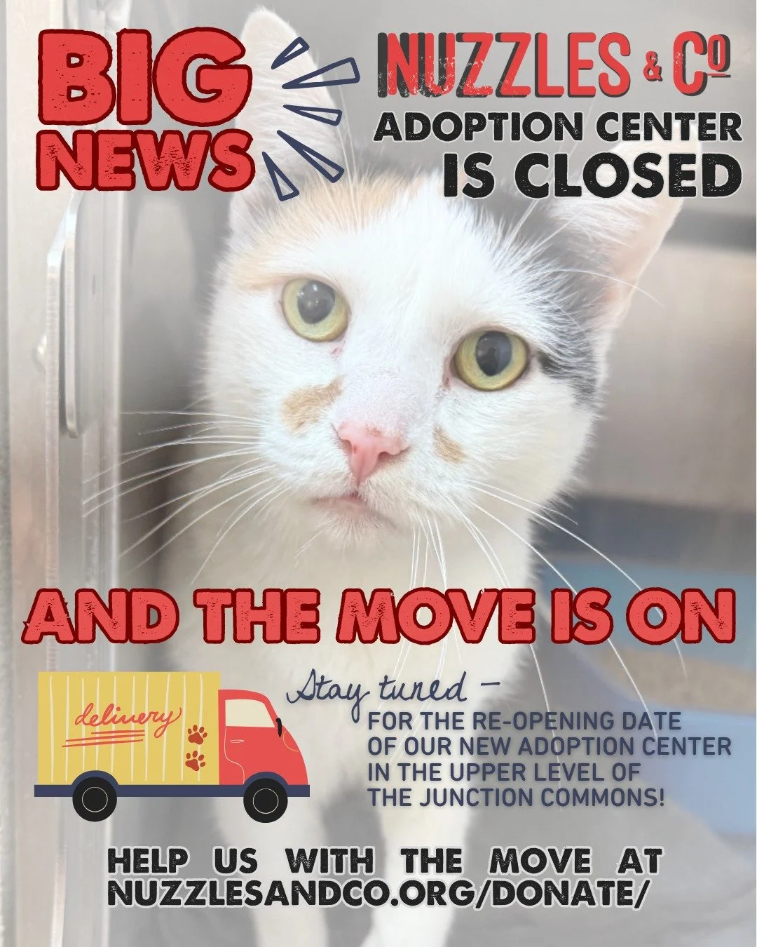 📦 BIG NEWS: The Move is On!

Our Adoption Center is officially closed as we prepare to reopen in our beautiful new space on the upper level of Junction Commons! We can&rsquo;t wait to welcome you back soon.

🐾 In the meantime:
Most of our adorable,