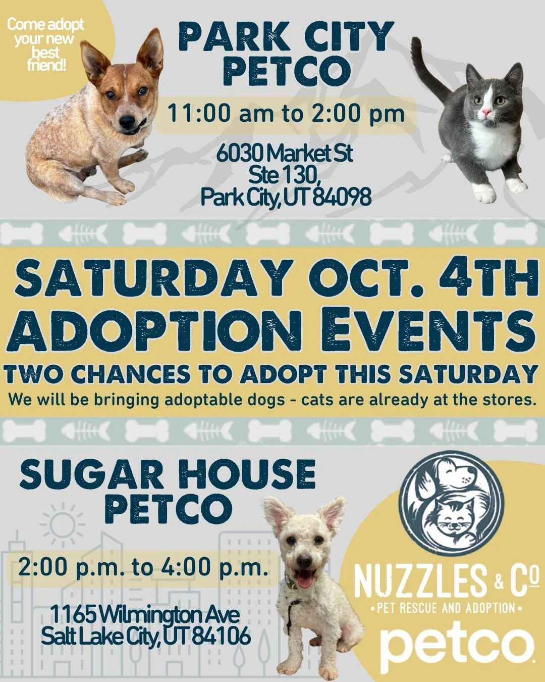 🐾 Join us AT PETCO THIS WEEKEND for Adoption Events!

While our Adoption Center gets a new home, we&rsquo;re keeping the love (and the adoptions!) going strong. 

This Saturday, October 4th we are bringing animals too TWO PETCOs:

Park City Petco | 