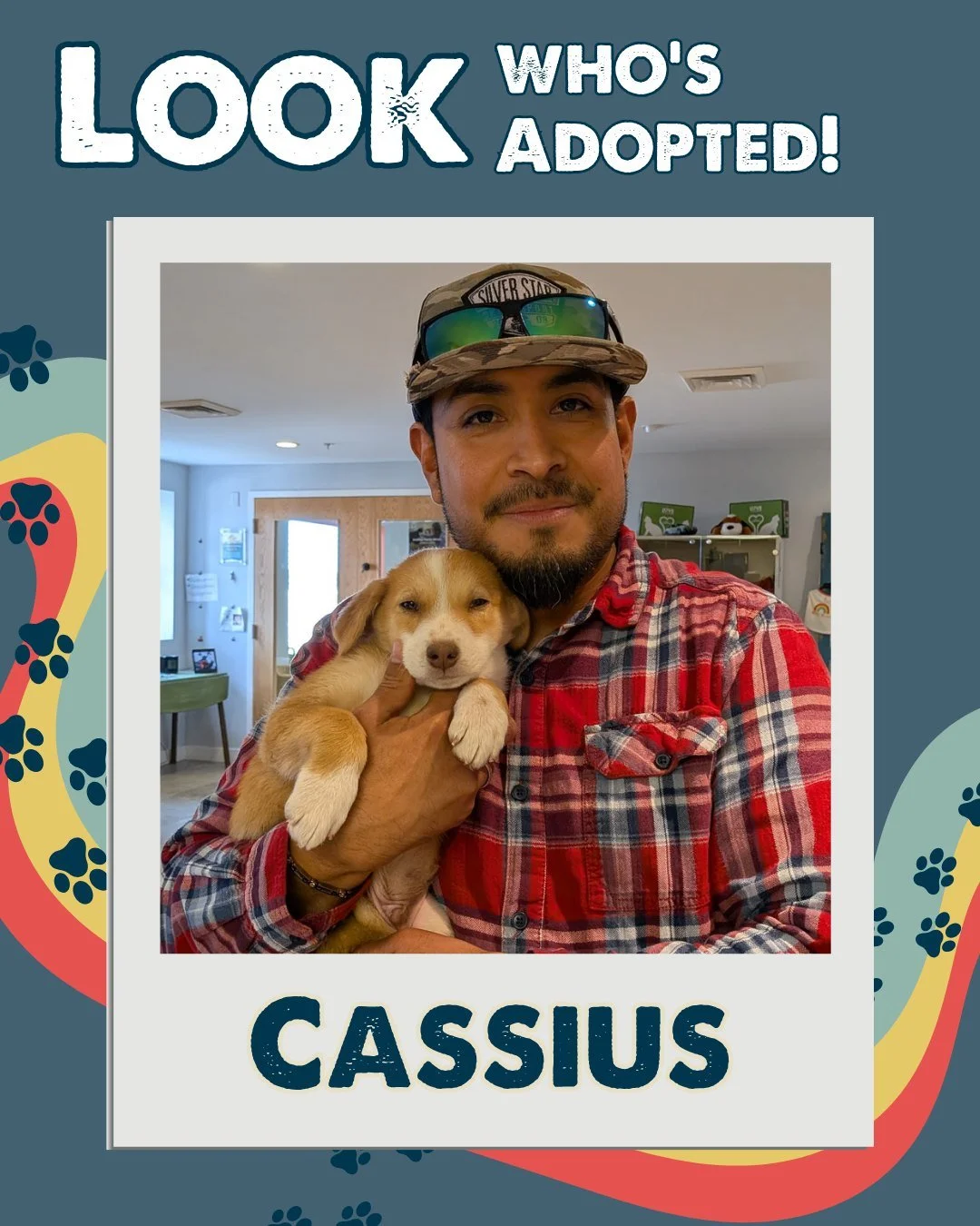It&rsquo;s been another wonderful week of adoptions here at Nuzzles &amp; Co. &mdash; lots of adorable kitties and a some very good dogs found their happily-ever-afters! 

Thinking it might be your turn to fall in love? Come meet your match at our Re