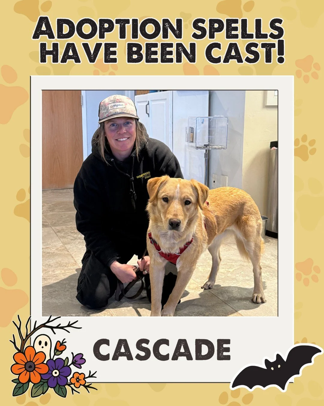🪄🐾 The adoption spells we cast worked their magic! 
These lucky Nuzzles’ Pals have officially found their forever homes — proof that a little love and a touch of Halloween magic can make dreams come true.
Could adoption be in your fut