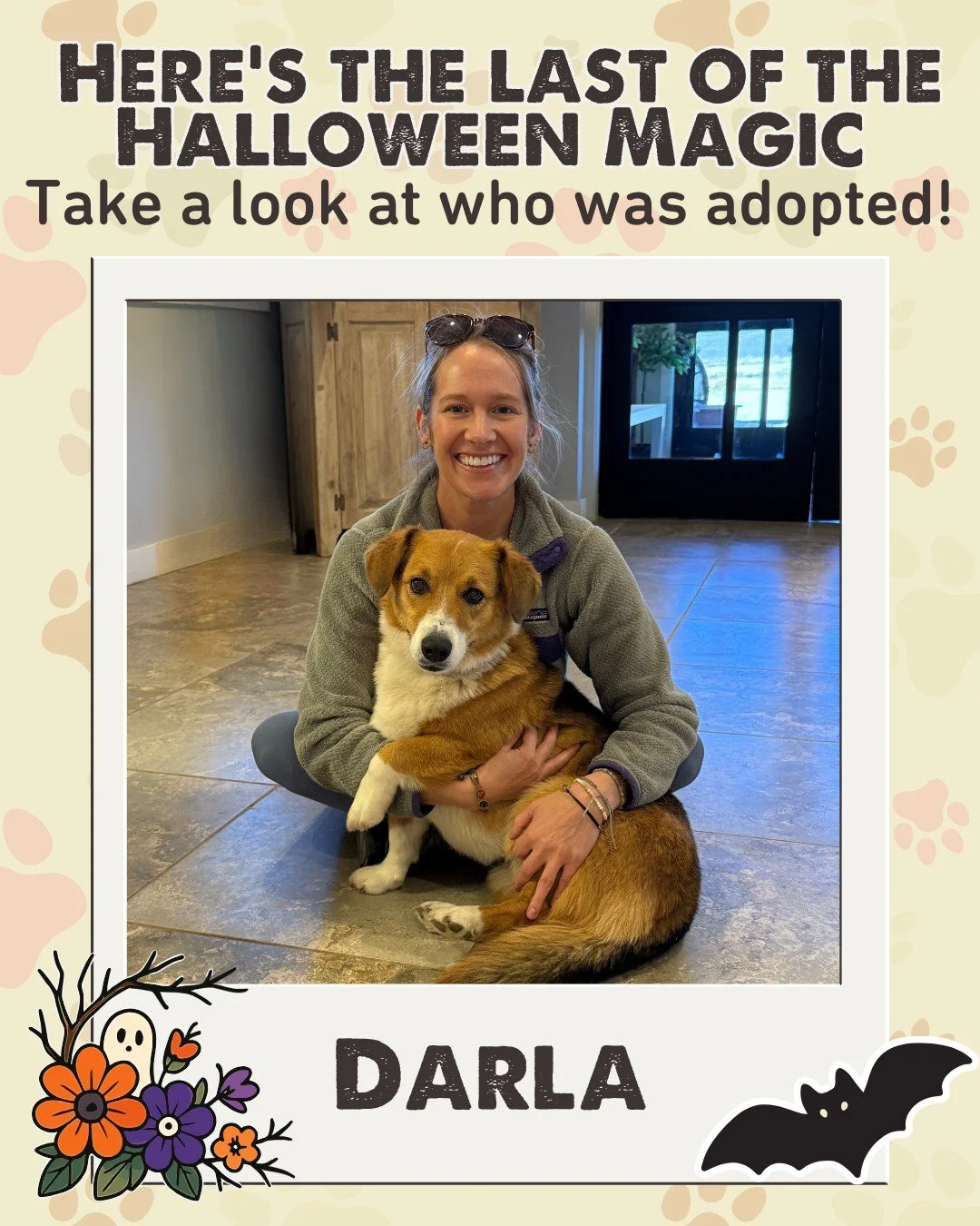 👻🎃 We&rsquo;re wrapping up spooky season with the sweetest treats of all &mdash; happy endings! Congrats to this week&rsquo;s adopted pets.

While we&rsquo;re putting the finishing touches on our new Adoption Center, you can still meet our adoptabl