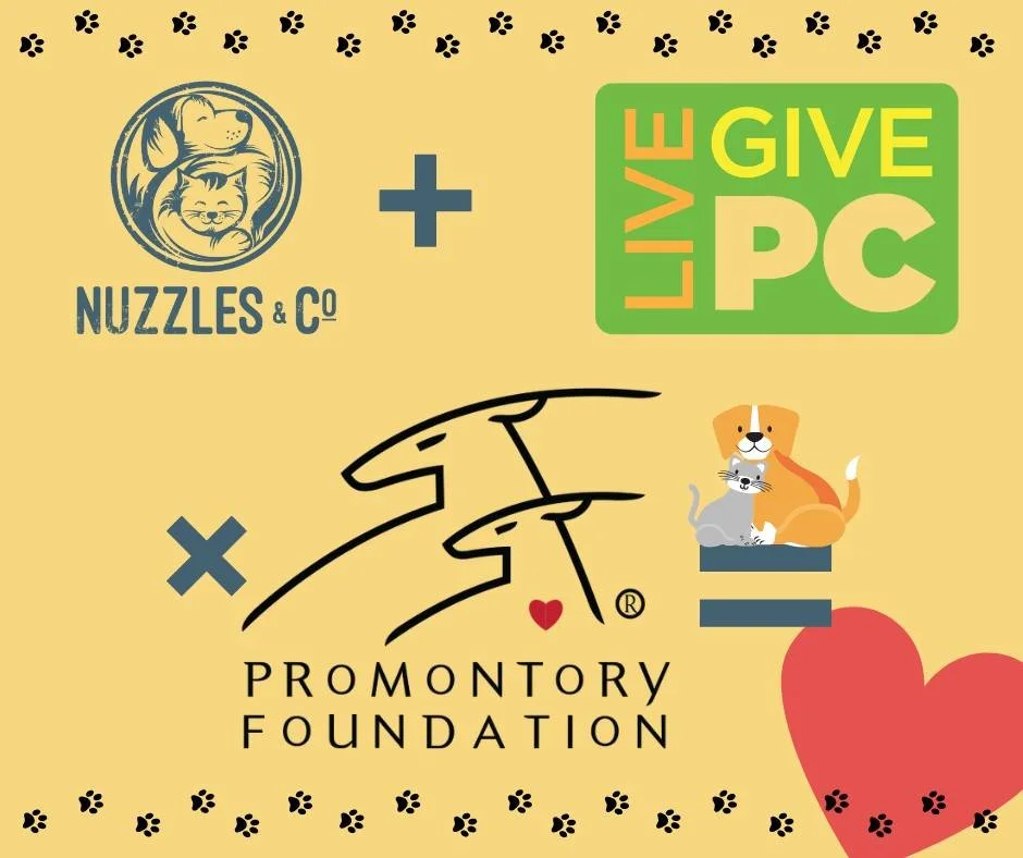 This Friday, November 7th, Nuzzles will once again be participating in the most exciting day of fundraising around &ndash; Live PC Give PC! Last year, the Park City Community Foundation helped raise over $5 million for local nonprofits, and they hope