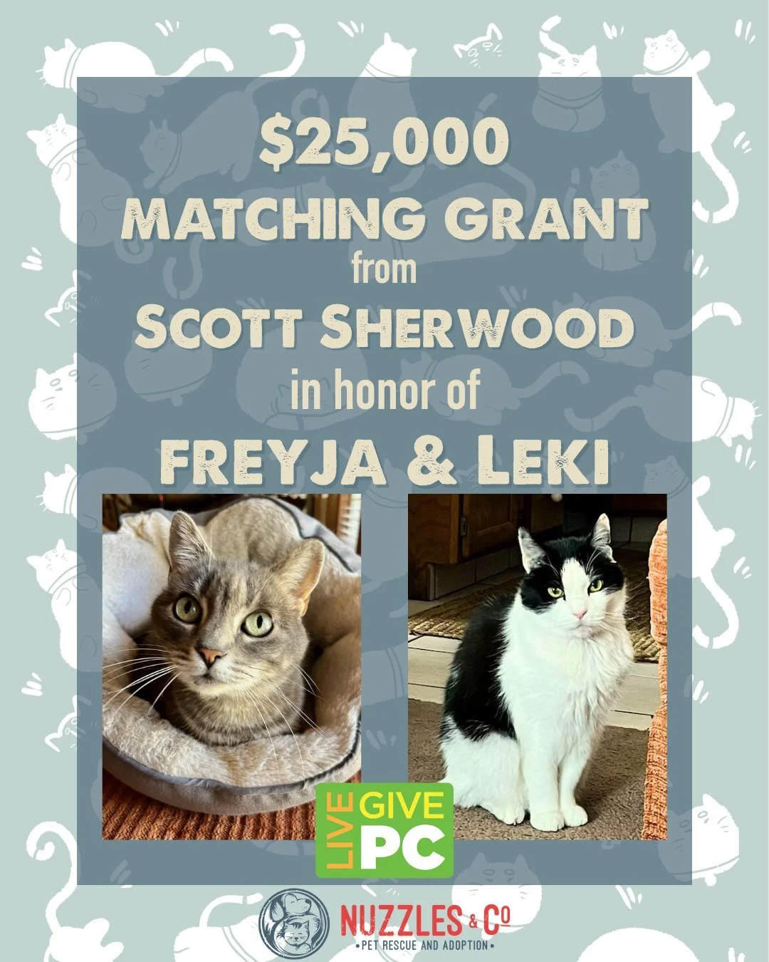 🎉 It's time to announce our final matching grant of Live PC Give PC, which is a $25,000 gift generously provided by Scott Sherwood in honor of his kitties, Freyja and Leki. Let's finish off this year's Live PC Give PC strong!

Scott wanted to share 