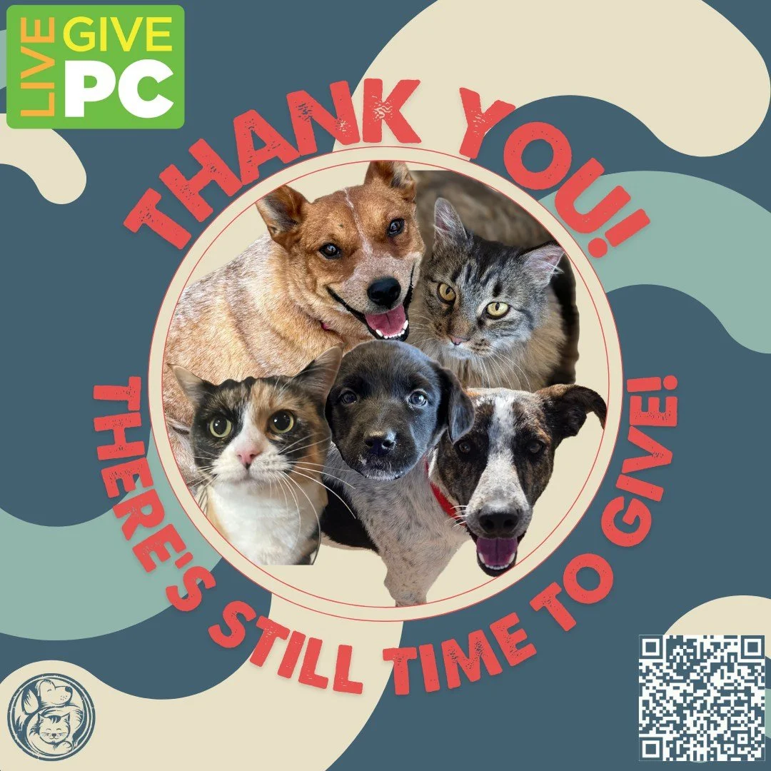 You did it! 🐾 Thank you so much to everyone who has donated during Live PC Give PC. We've met our goal for the day, but we're not done yet! We have raised over $129,000 today, and we still have a generous matching grant available, which means your l