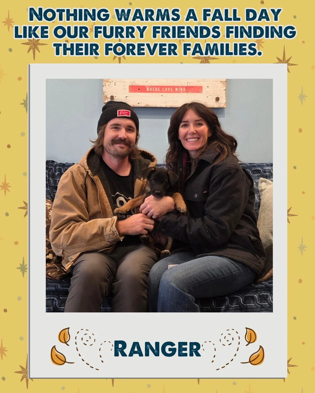 Fall weather might be blustery today, but nothing warms us up like seeing these sweet faces heading home. Take a look at who found their forever homes this week!

Looking to make your own nights a little cozier? We&rsquo;ve got plenty of amazing dogs