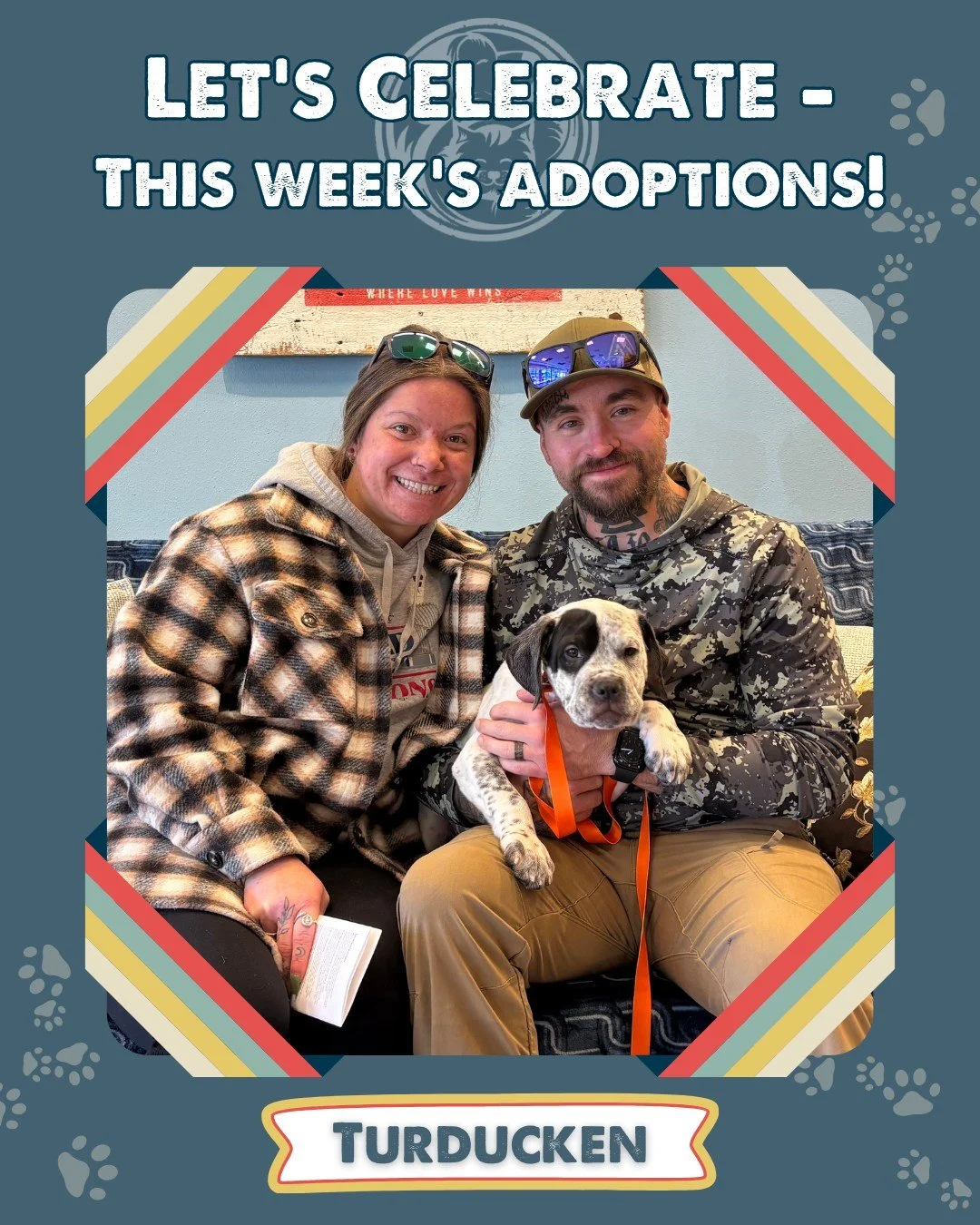 Cold noses, warm homes.
This season is all about moments that matter &mdash; like these lucky Nuzzles&rsquo; Pals taking their first steps into forever. ❤️🐾

Looking to meet your match?
Our new Adoption Center is open daily from 12&ndash;5pm (closed