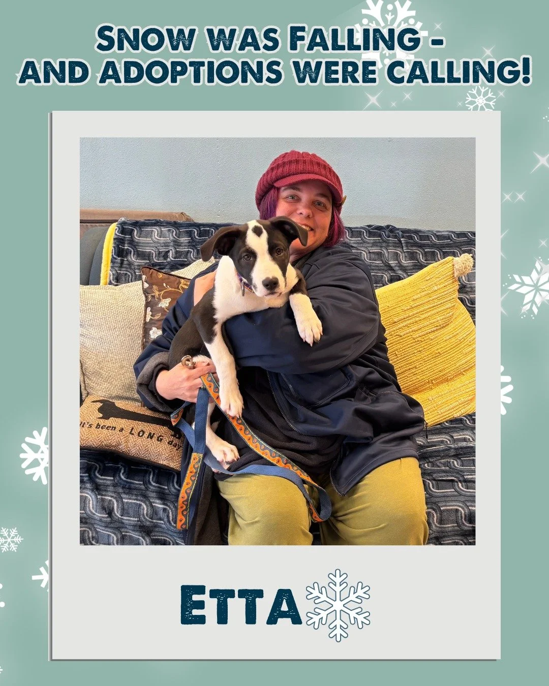 Snow was falling and forever homes came calling for these lucky Nuzzles' Pals. Take a swipe through and share with us your favorite Alumni for this week.

Looking to welcome some joy into your home this holiday season?

Come visit us at our Adoption 