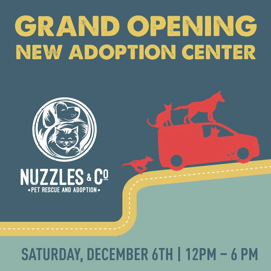 ADOPTION CENTER GRAND OPENING PARTY
