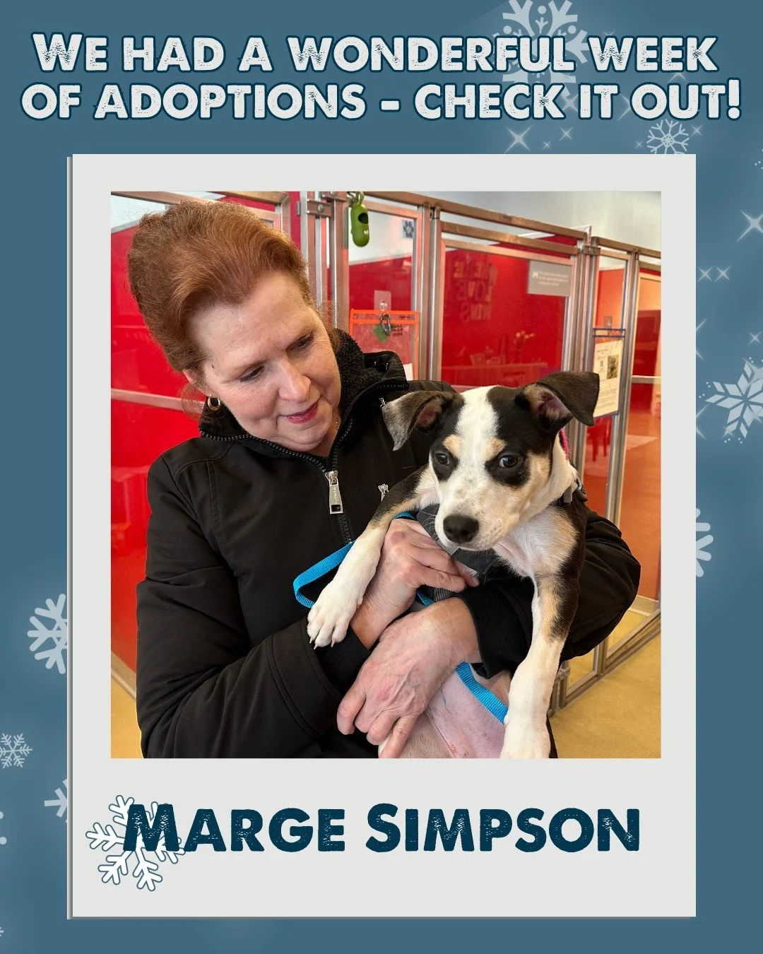 So many deserving pets found their happily-ever-afters this week&mdash;and we couldn&rsquo;t be more excited! From instant matches to long-awaited goodbyes, every adoption tells a story worth celebrating. 

We are especially thrilled for Marge &amp; 