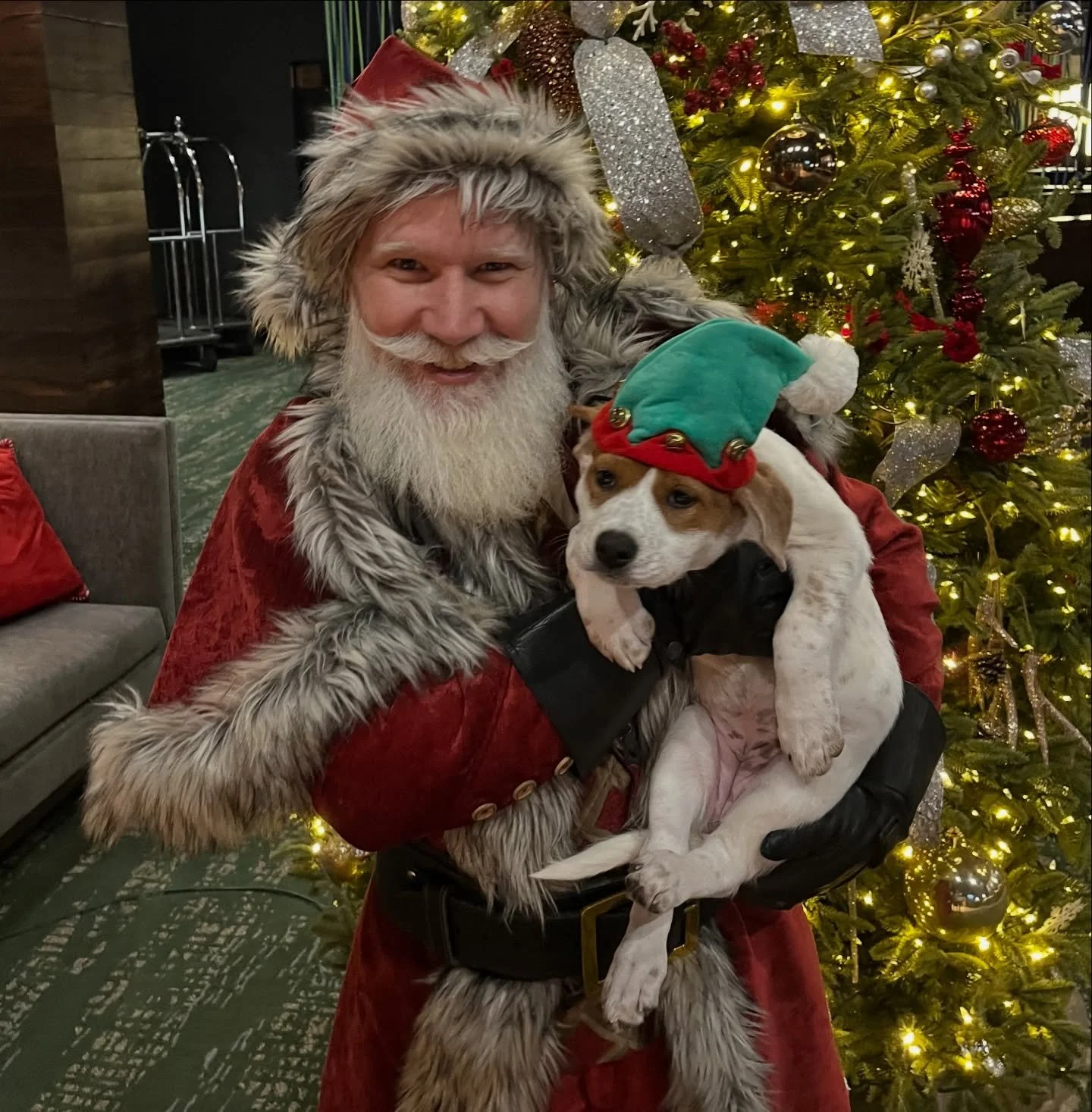 We had the best time at the Silly Holiday Bazaar at the beautiful Yarrow Hotel! Puppy snuggles were in full supply, our merch booth was buzzing, and we loved sharing our rescue mission with so many amazing people. Thanks for coming by!