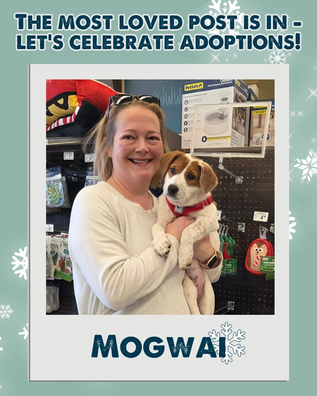 Our most-loved post of the week is here &mdash; let&rsquo;s celebrate the adoptions! Each of these sweet animals found their way home, and we couldn&rsquo;t be happier. 

If you&rsquo;re hoping to bring a little more love home this holiday season, we