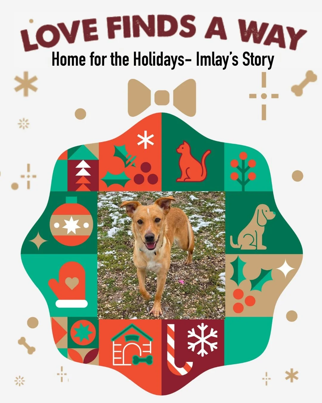 Home for the holidays looked a little different for Imlay &mdash; but love found a way. ❤️

After months of waiting, patience, and people who never gave up on her, Imlay finally found the family who truly saw her. On December 15, two months after she