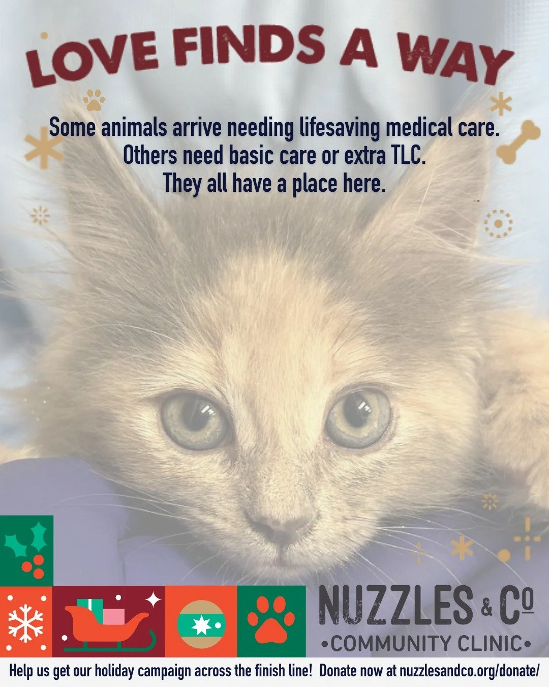 Some animals arrive needing lifesaving medical care.
Others need basic care, patience, or extra TLC.
Here, they all have a place.

This year alone, more than 700 dogs and cats found safety at Nuzzles &amp; Co. Each one received medical care and vacci