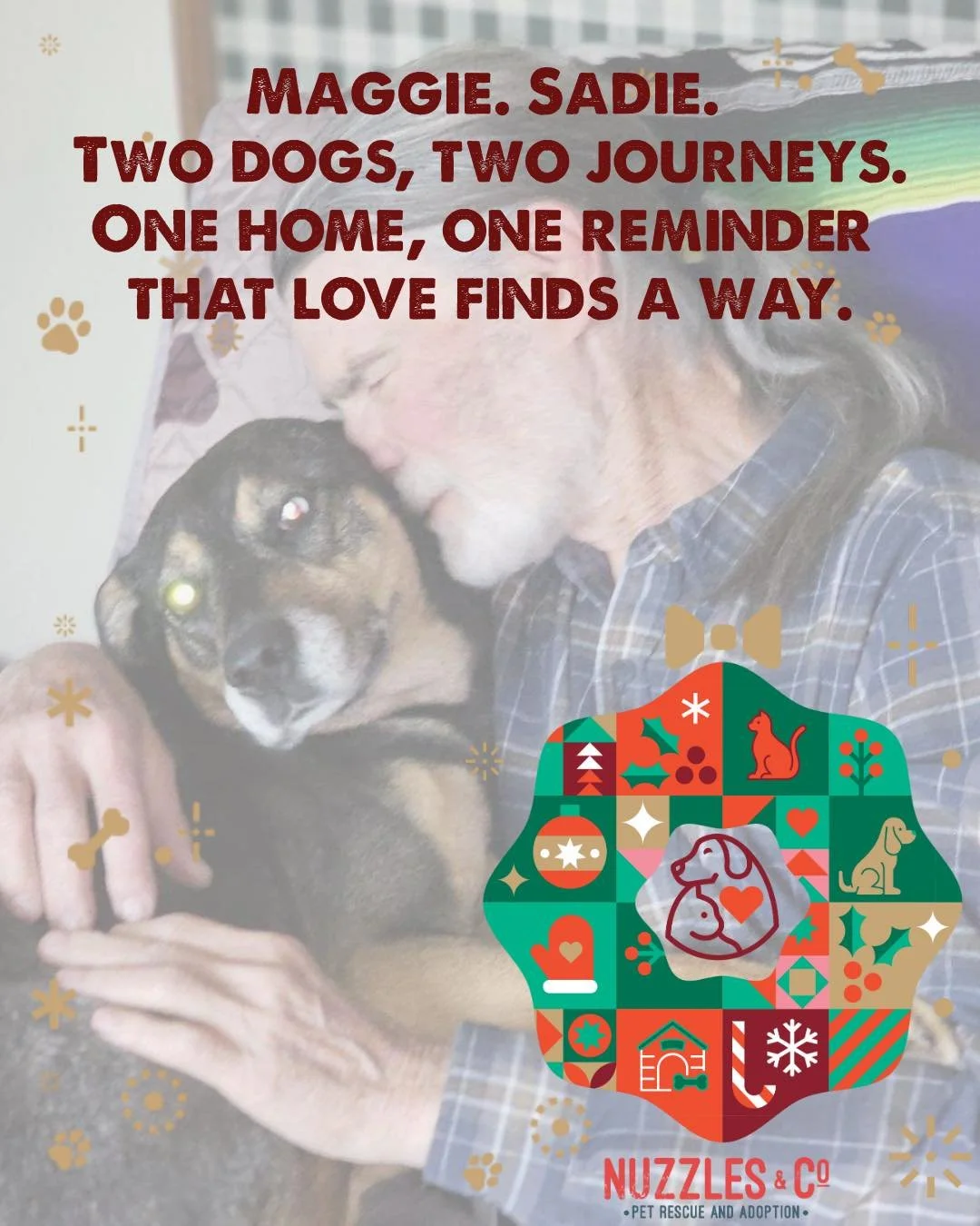 Maggie &amp; Sadie&rsquo;s happy ending adoption story inspires a $14,000 MATCH for the $100K Holiday Campaign of Nuzzles &amp; Co.!

Two Nuzzles&rsquo; dogs. One new life-long friendship thanks to their adoption in December by Janice and Ted Nemcik 