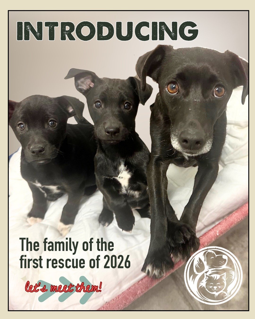 Yesterday we shared how this little family got their second chance&mdash;you know their story began with a rescue call, quick action, and a lot of people refusing to give up on them. Today, we want you to meet them.

This is Uno&mdash;and these are h