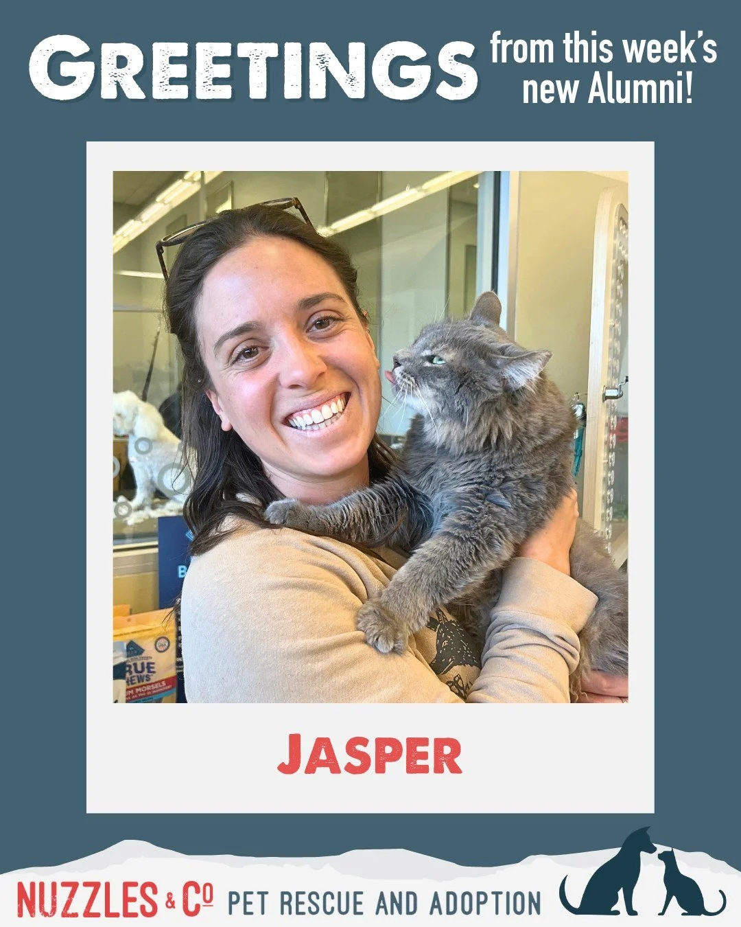 Greetings from this week&rsquo;s new alumni 🐾

These lucky pups and cats packed their bags, said their goodbyes, and headed off to homes of their own. We&rsquo;re so happy for every one of them&mdash;and so grateful to the families who chose adoptio