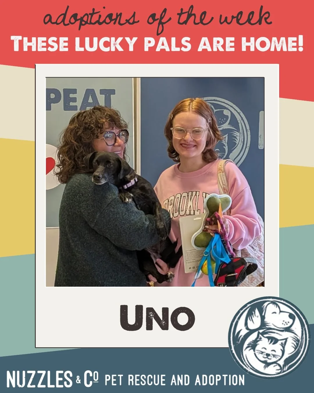 Today we&rsquo;re celebrating the wins: these lucky Nuzzles&rsquo; pals found their forever homes.

It takes a village&mdash;staff, fosters, volunteers, and supporters. If you&rsquo;ve liked a post, shared a reel, donated $5, or told a friend about u
