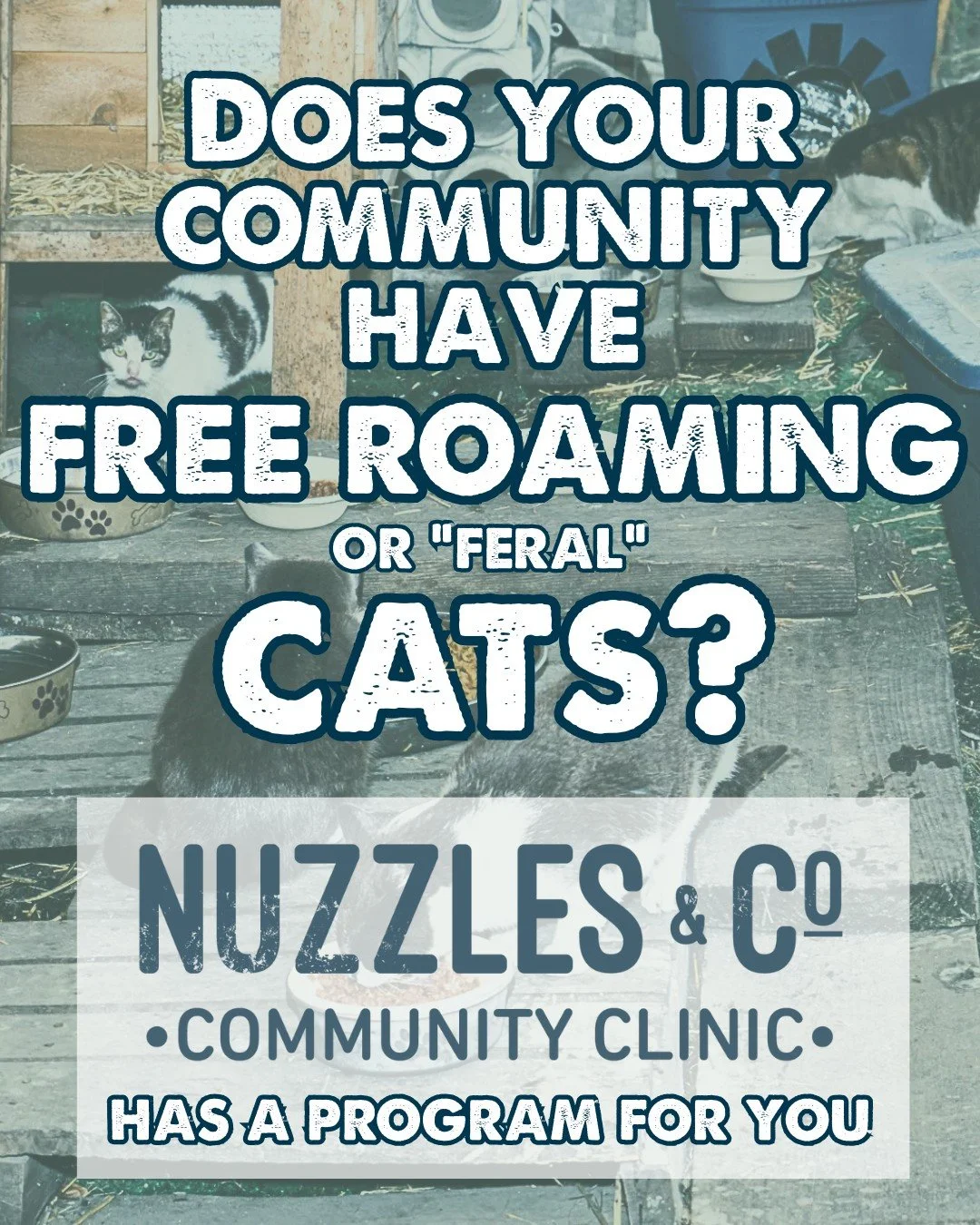 If you&rsquo;ve noticed free-roaming cats in your neighborhood, you&rsquo;re not alone&mdash;and there&rsquo;s a humane way to help that protects cats and prevents colonies from growing.

Our Community Clinic offers TNR (Trap&ndash;Neuter/Vaccinate&n