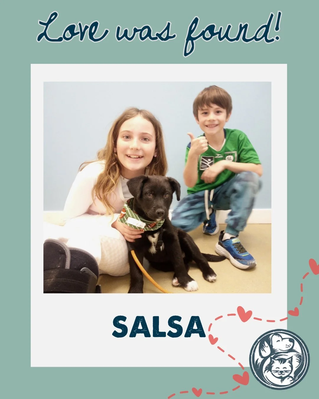 Love was found! 

Tonight we&rsquo;re celebrating our newest Nuzzles&rsquo; Alumni&mdash;each one heading home to start a brand-new chapter filled with comfort, playtime, and so much love. We couldn&rsquo;t be happier for these lucky pups and cats (a