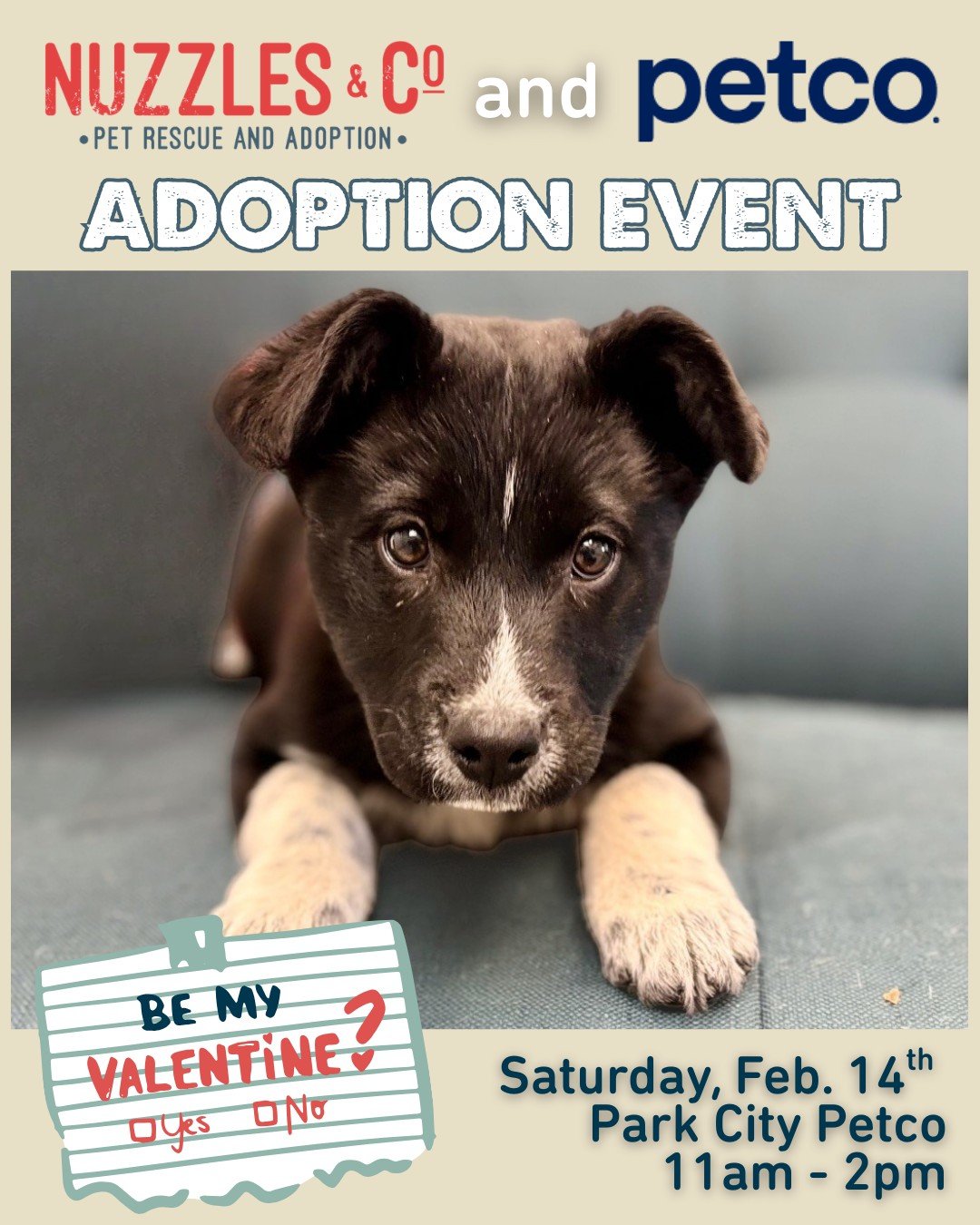 Valentine&rsquo;s Day plans? Come to the Park City Petco and meet your match. 💘🐾

We&rsquo;re bringing adoptable pets to Petco in Park City this Saturday for a special adoption event! Stop by, say hi, and meet some super cute puppies looking for ho