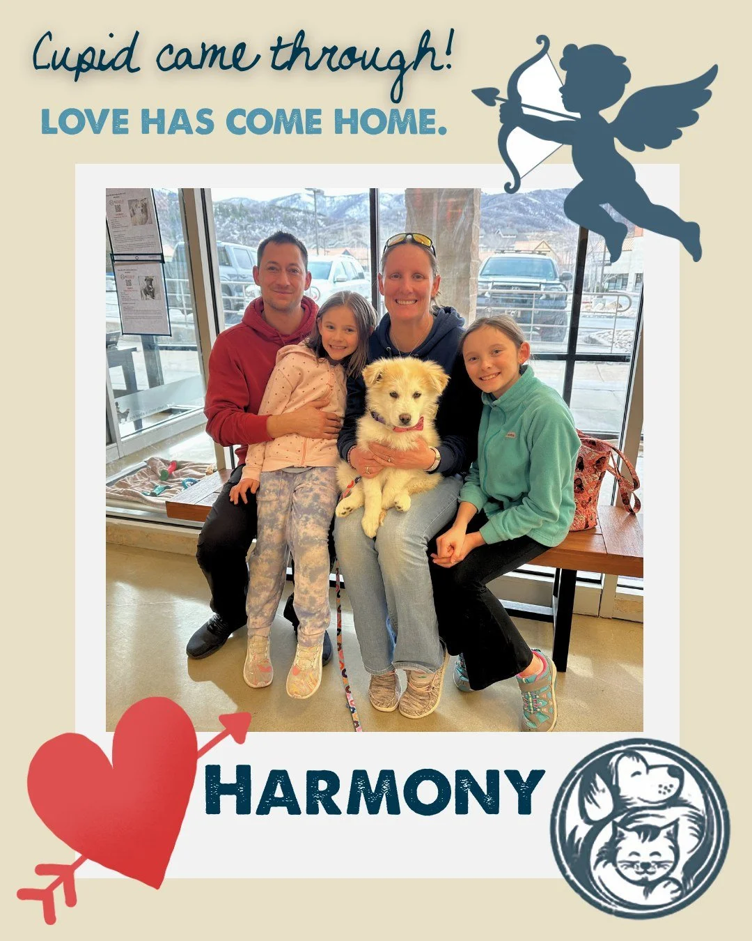 Cupid came through. 💘🐾

This week, these sweet Nuzzles friends found their forever homes&mdash;and it took a whole village to get them there.

To our adopters: thank you for choosing rescue.
To our fosters, volunteers, donors, and the team who show