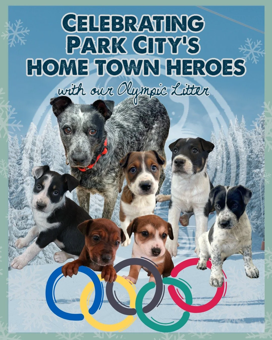 🏔️ From Park City to the World Stage 🇺🇸

This litter was named in honor of the Olympic spirit &mdash; but more importantly, in celebration of the incredible athletes from our own backyard competing this year.

Park City continues to produce world-