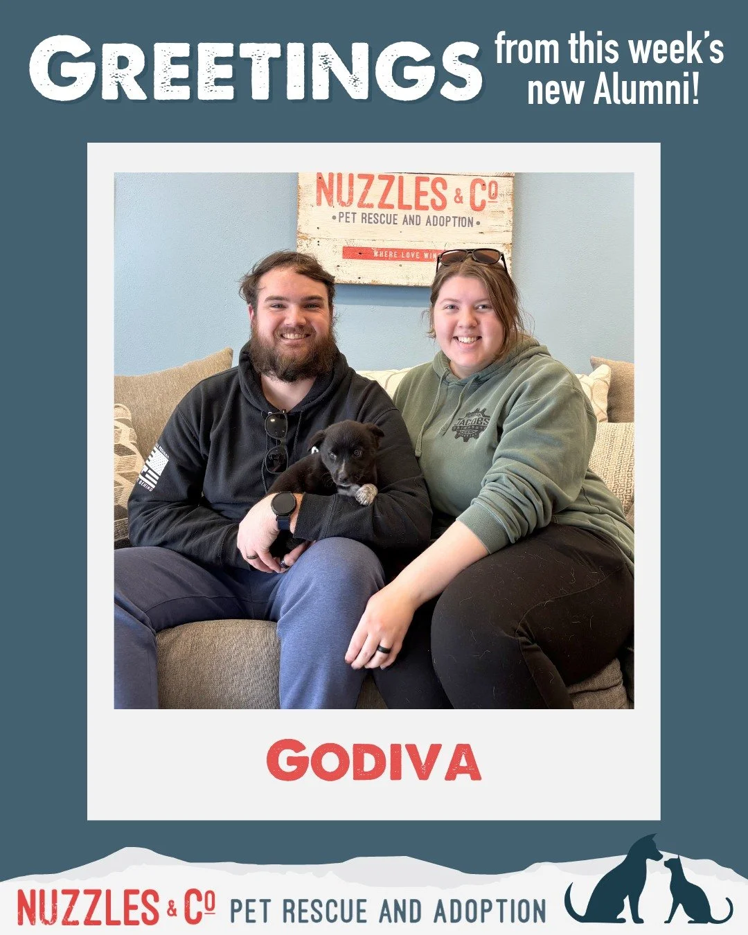 Greetings! We&rsquo;re adopted! 🐾💛

These lucky faces have officially headed home, and we couldn&rsquo;t be happier for them. Every adoption opens the door for another animal in need &mdash; and there are still so many wonderful dogs and cats waiti