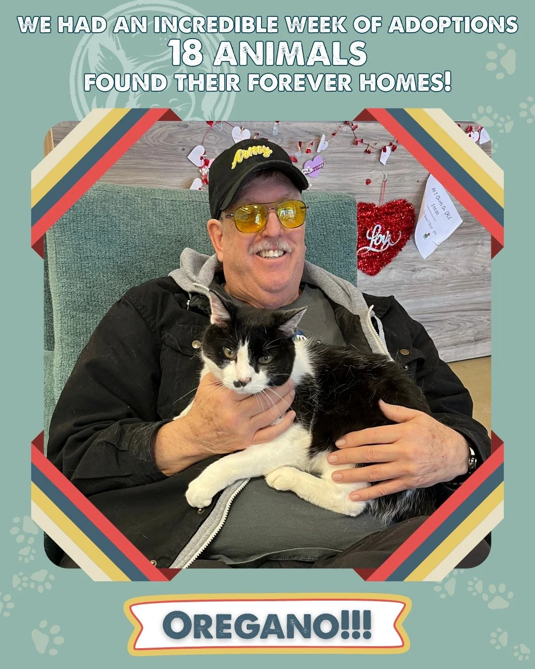 18 animals found their forever homes! 🐕🐈🐾

Weeks like this don&rsquo;t happen without an amazing community of adopters, fosters, volunteers, and supporters. Thank you for being part of every adoption success.

👉 Scroll to the end for your invitat