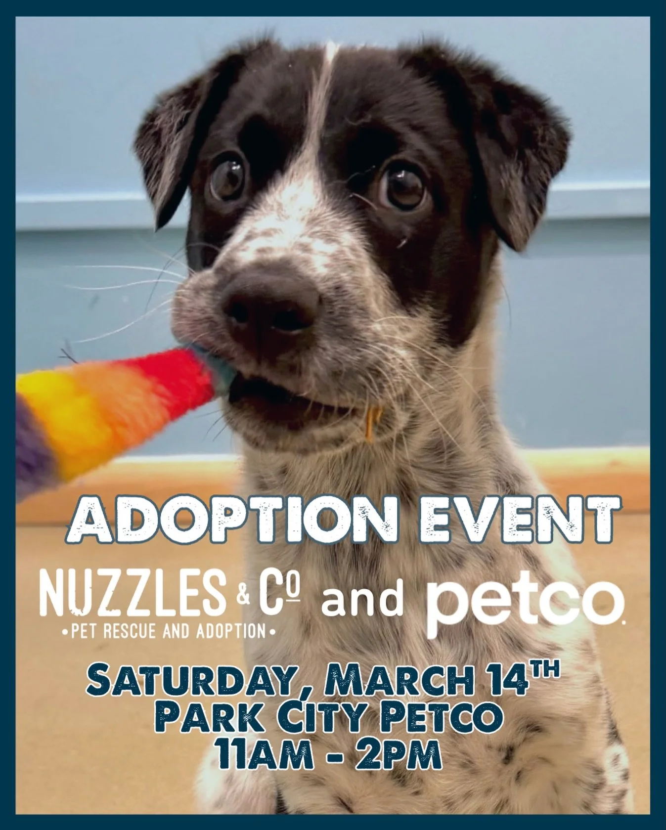 Ready to meet your new best friend? 🐾

Join Nuzzles &amp; Co. this Saturday for our monthly Adoption Event at Petco in Park City! We&rsquo;ll be bringing some adorable adoptable dogs who are ready to head home with their forever families.

Including