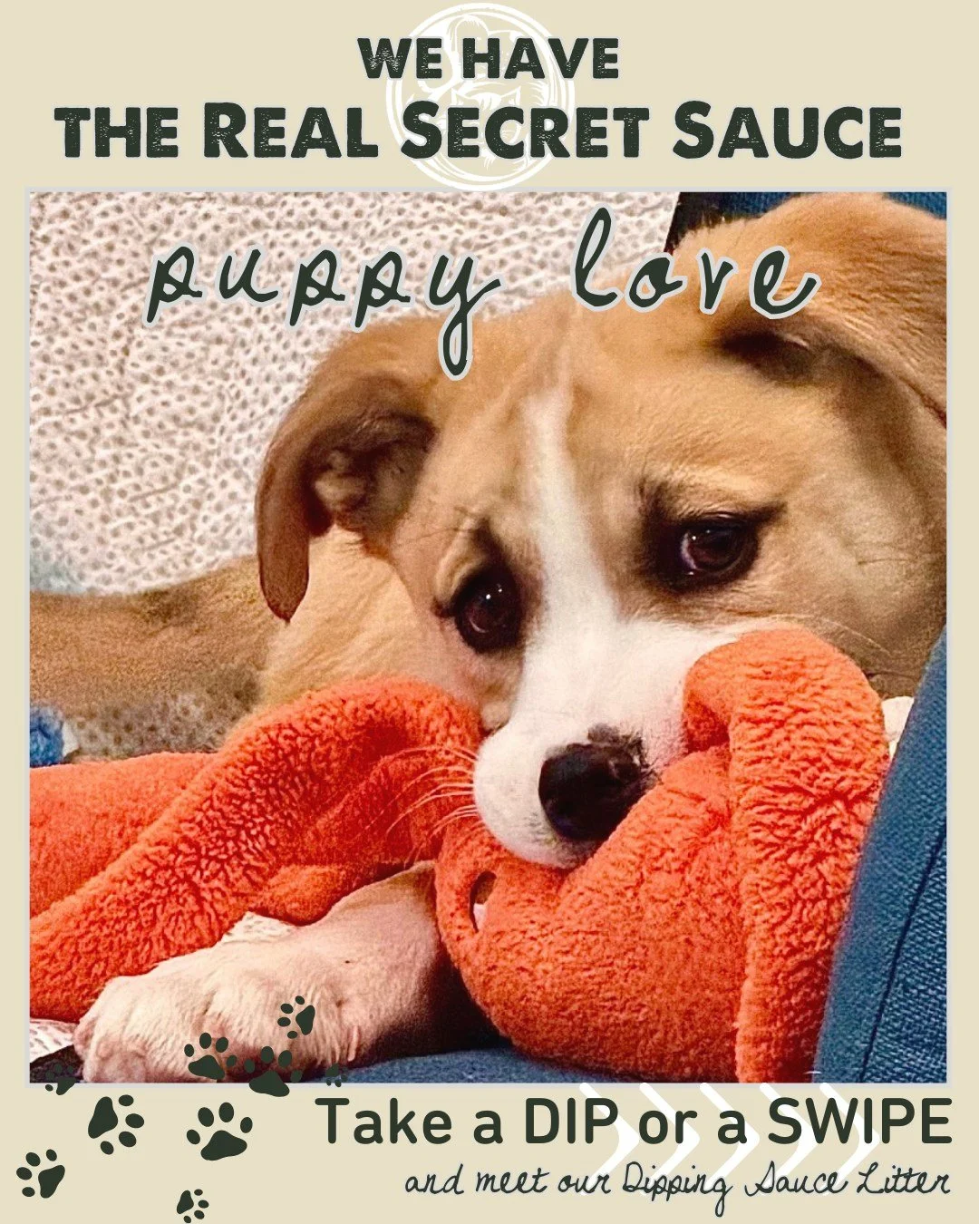 We&rsquo;ve got the real secret sauce&hellip; and it&rsquo;s puppy love. 🐾

Meet the Dipping Sauce litter. Each one has their own unique look and flavor, but they all share the same love for toys, cuddles, and being right in the middle of whatever y