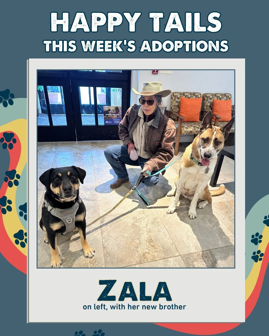 Happy Tails Start Here. 🐾

Each week, more Nuzzles animals head home with their new families, and it never gets old seeing these fresh starts happen. Every adoption opens space for another animal who needs us and keeps the rescue cycle moving.

Than