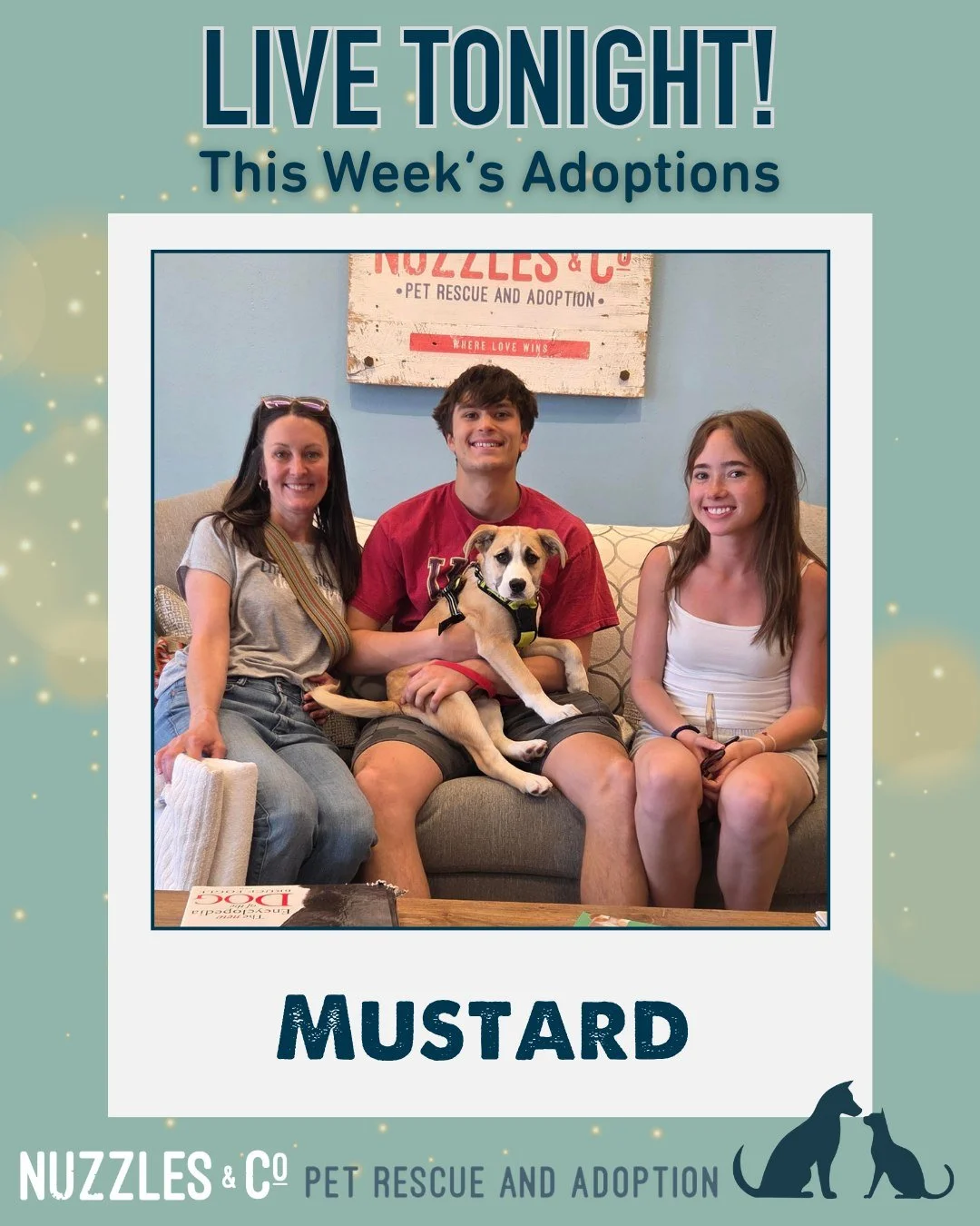 LIVE TONIGHT: this week&rsquo;s adoptions.

This week&rsquo;s Nuzzles alumni are heading home, and we&rsquo;re grateful for the adopters, fosters, volunteers, and supporters who make it possible.

Come meet the animals still waiting at the Adoption C
