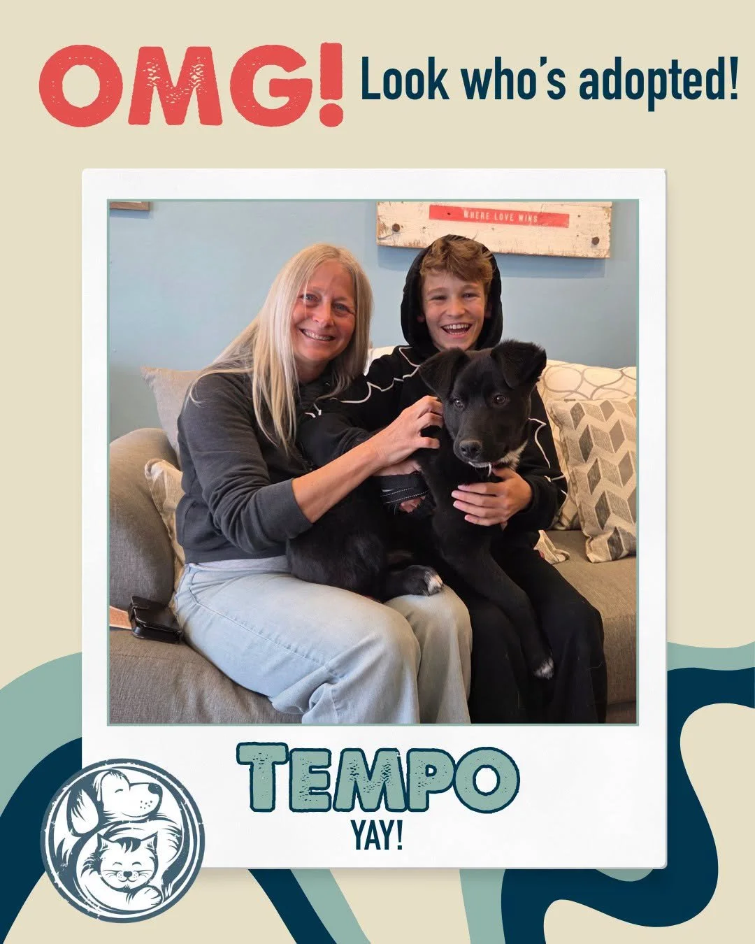 A little Sunday pick-me-up, courtesy of this week&rsquo;s adoptions. Seeing these animals head home is the best part of our week. Celebrate with us!

🐶🐱If you&rsquo;re ready for a companion of your own, take a look at the animals still waiting at n