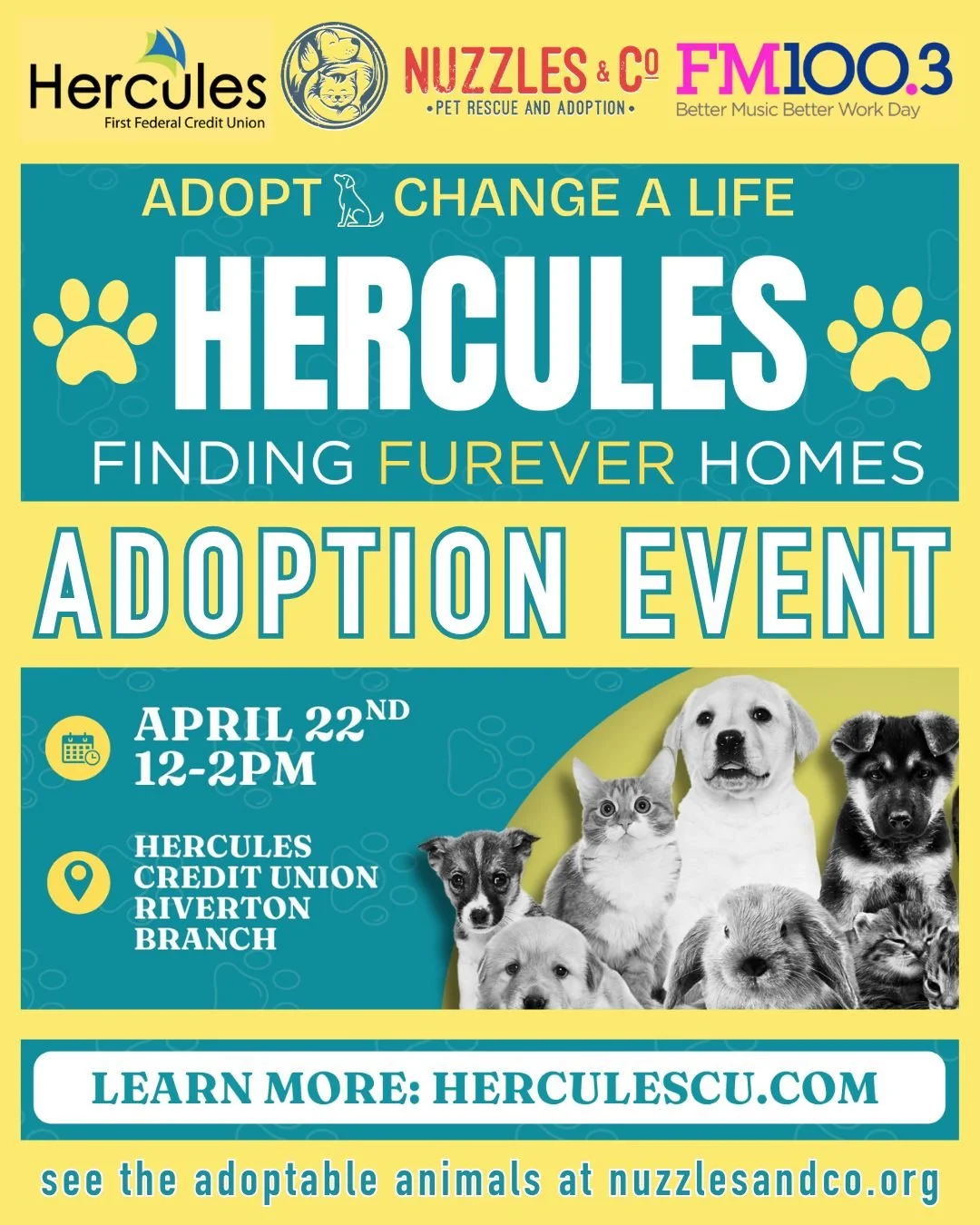 Did you hear us on FM100.3? 🐾
Join Nuzzles &amp; Co. and Hercules Credit Union THIS WEDNESDAY, April 22nd, for a special adoption event at their Riverton location&mdash;and help support rescue animals while you&rsquo;re there!

📍 Hercules Credit Un