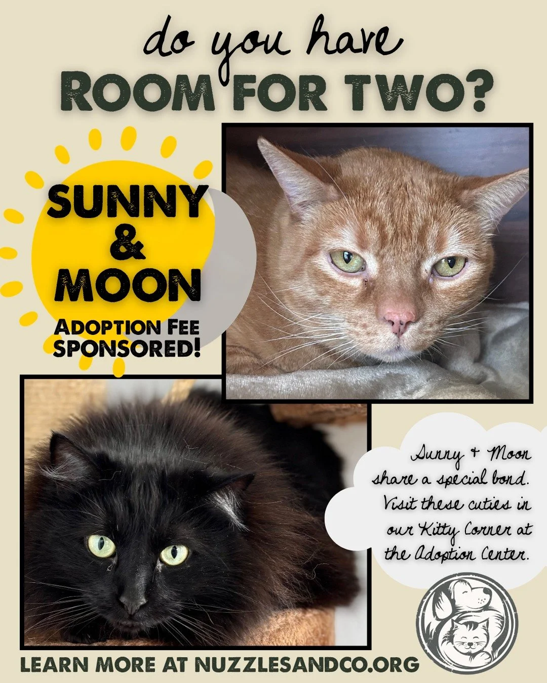 🌙☀️ Sunny and Moon are the kind of pair that quietly change a room just by being in it. 

Moon may start out a little shy, but once she feels safe, her affectionate personality really shines. Sunny takes a little extra time to warm up&mdash;but with