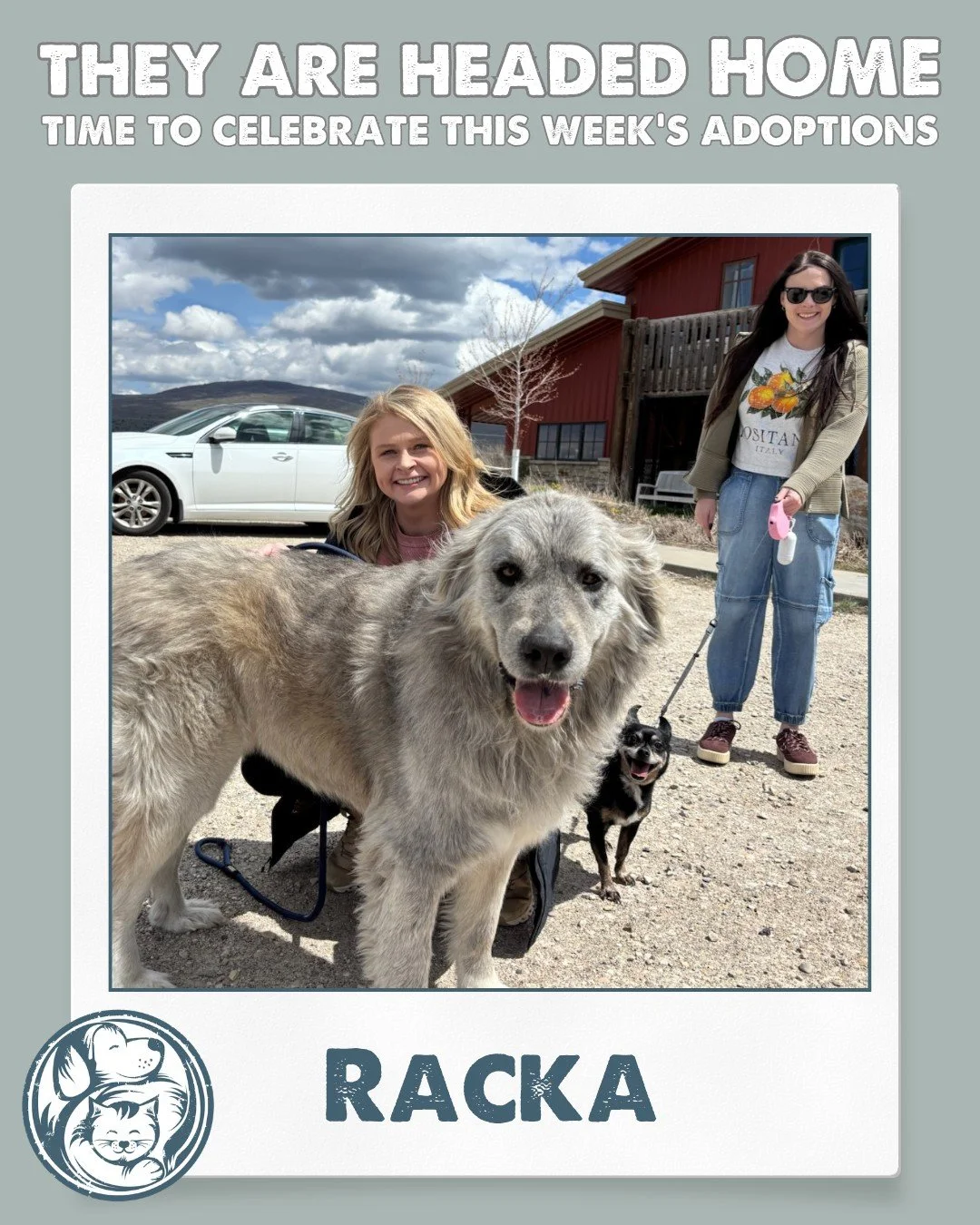 It may have been a quieter week for adoptions, but these sweet faces are headed home. And that&rsquo;s always something worth celebrating. 

Every adoption creates space for the next rescue animal to get their chance, including the new faces you&rsqu