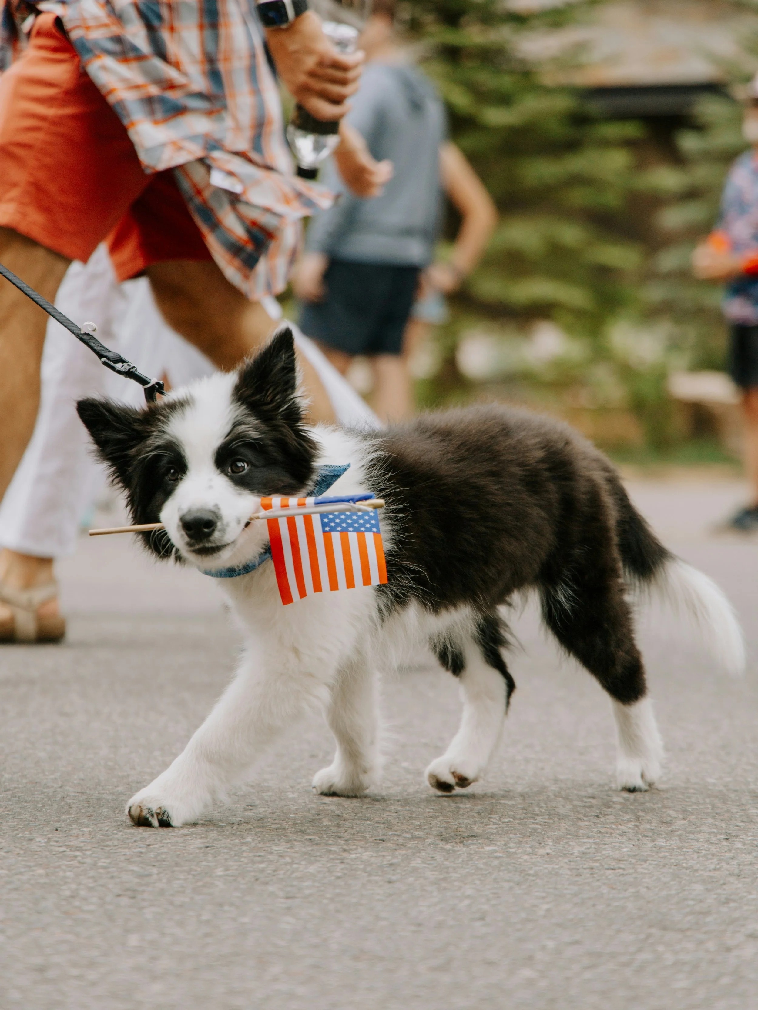 Park City 4th of July Parade