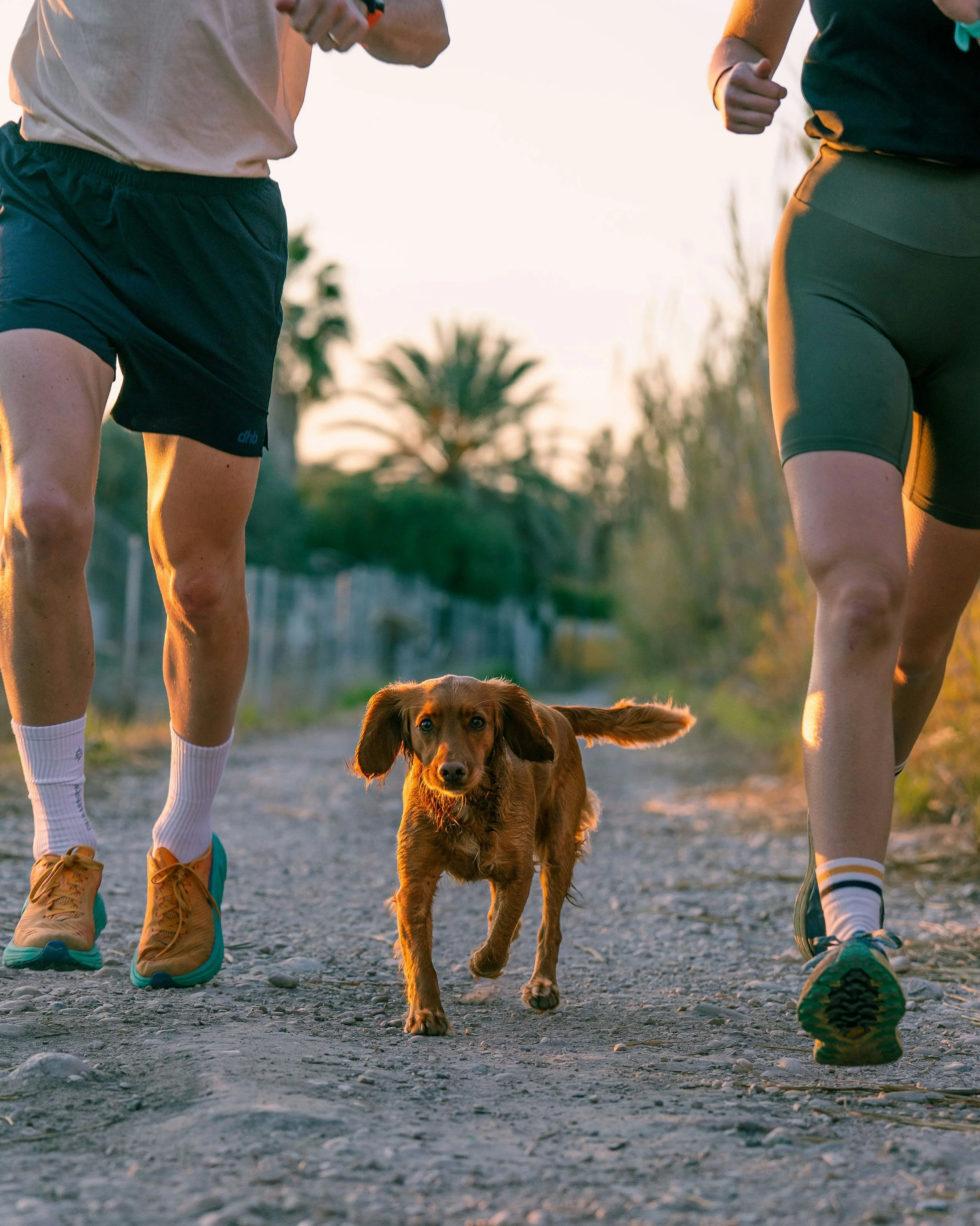 Running with Ed