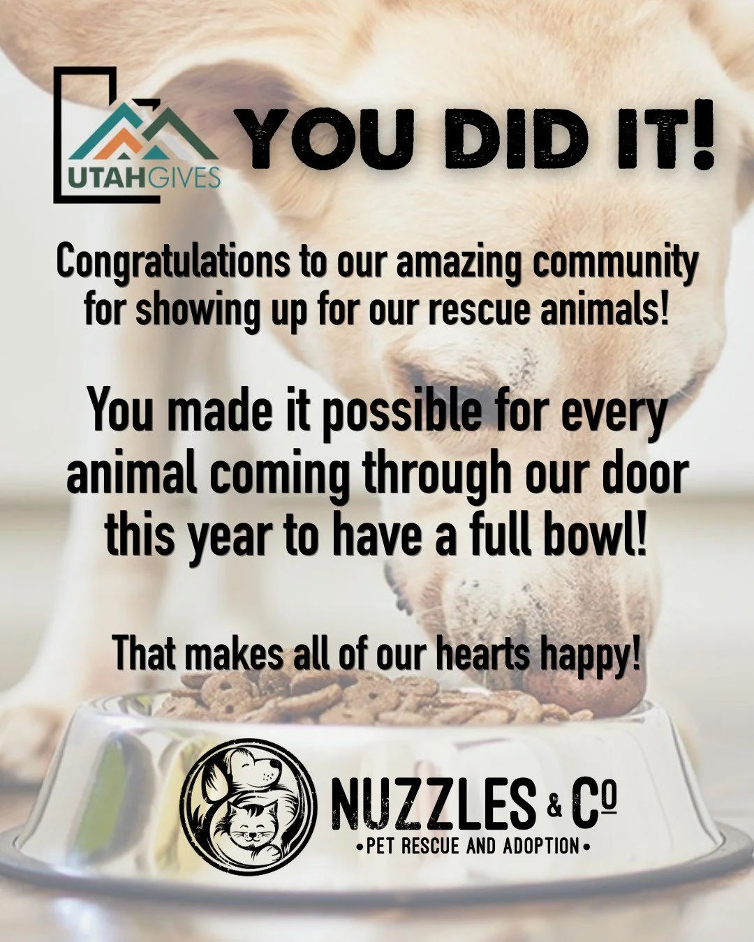 You did it. Truly.

Thanks to this incredible community, Nuzzles &amp; Co. raised $20,600 for UtahGives, helping ensure that every animal coming through our doors this year will have a full bowl while they wait for home. 🐾

Out of 317 participating 
