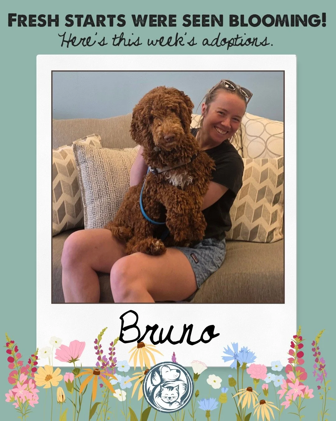 Fresh starts were seen blooming this week, and these lucky animals found their way into homes of their own.

From first meetings to finally being chosen, it&rsquo;s always a little bit of magic watching everything fall into place. 

And while we&rsqu