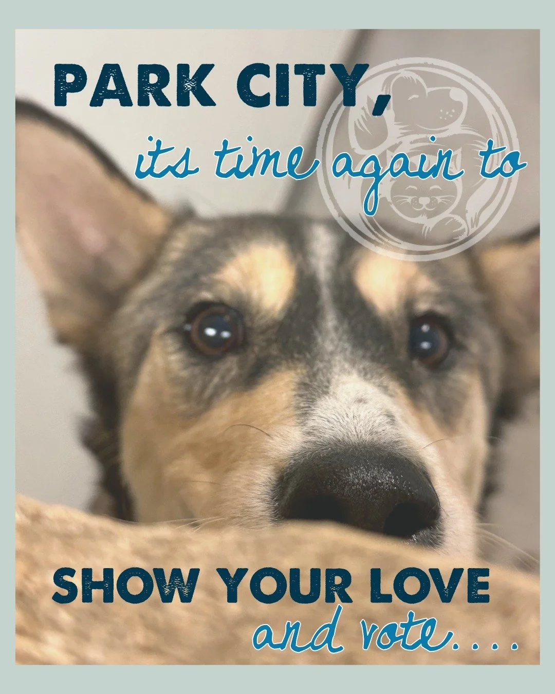 Park City&hellip; you know what to do 👀🐾

Voting is officially open for Best of Park City, and we&rsquo;d love your support 💙

If Nuzzles &amp; Co. has been part of your story&mdash;whether you&rsquo;ve adopted, fostered, volunteered, or just stop