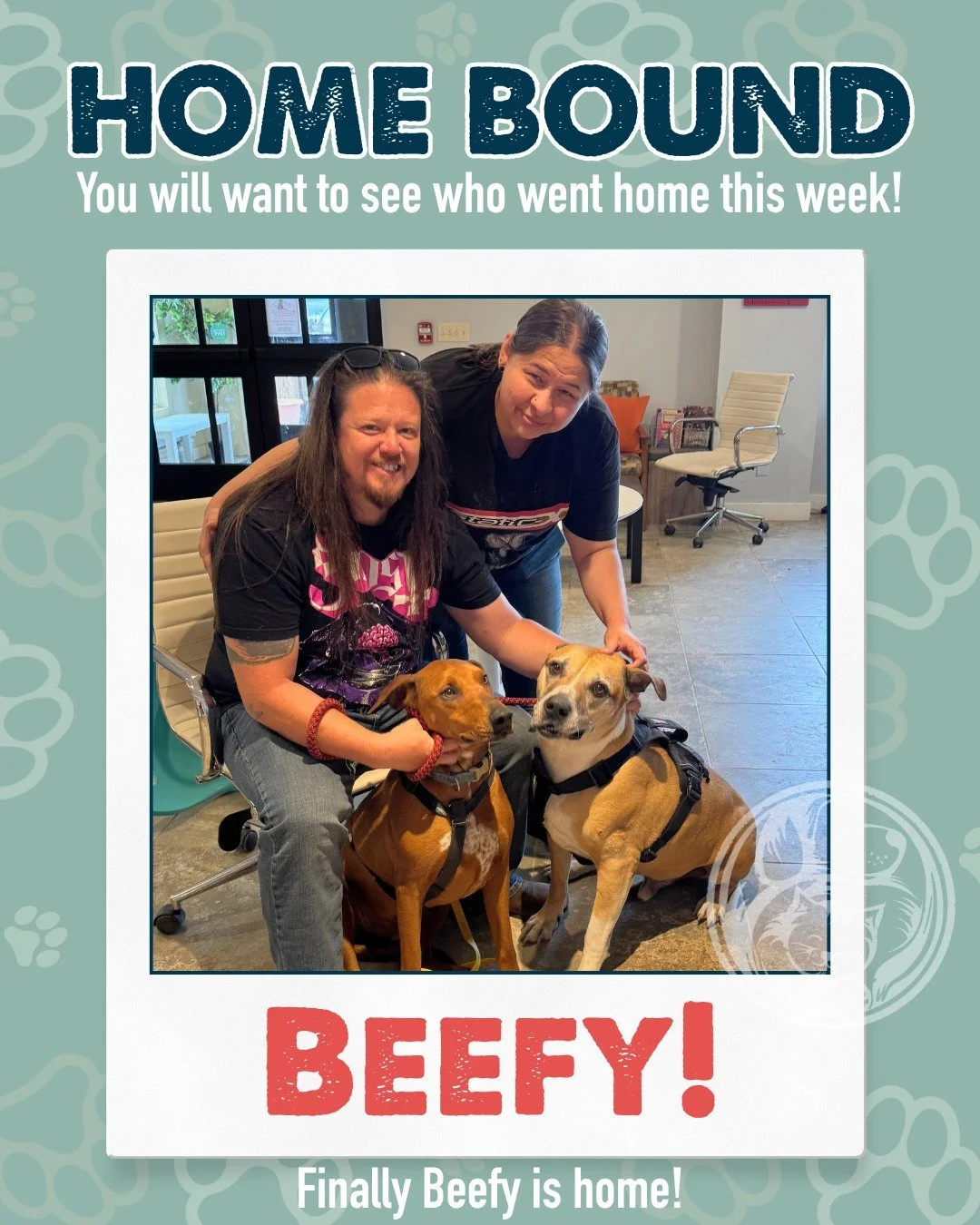 This week&rsquo;s adoptions hit a little extra close to the heart.

After spending a long time waiting at Nuzzles, both Beefy and Boomer finally found their people and headed home. And honestly, there&rsquo;s nothing better than watching dogs who&rsq